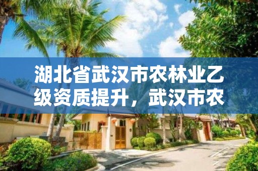 湖北省武汉市农林业乙级资质提升，武汉市农业局林业局物资站法人联系方式