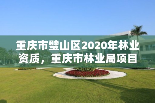 重庆市璧山区2020年林业资质，重庆市林业局项目