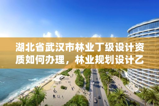 湖北省武汉市林业丁级设计资质如何办理，林业规划设计乙级资质