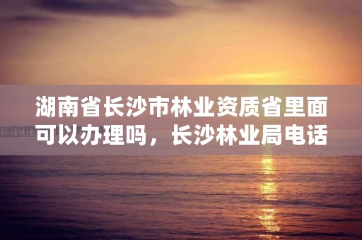 湖南省长沙市林业资质省里面可以办理吗，长沙林业局电话号码