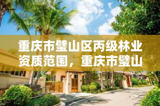 重庆市璧山区丙级林业资质范围，重庆市璧山区丙级林业资质范围查询