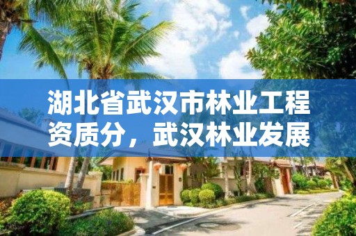 湖北省武汉市林业工程资质分，武汉林业发展公司