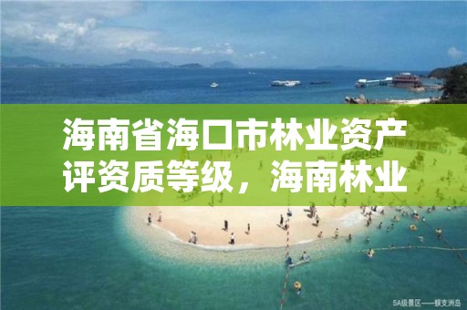 海南省海口市林业资产评资质等级，海南林业局电话号码