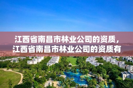 江西省南昌市林业公司的资质，江西省南昌市林业公司的资质有哪些