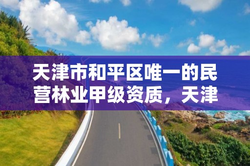 天津市和平区唯一的民营林业甲级资质，天津市有林业局吗