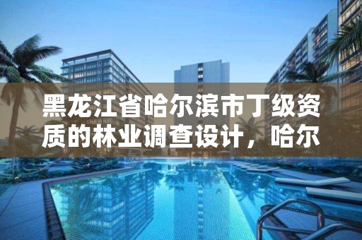 黑龙江省哈尔滨市丁级资质的林业调查设计，哈尔滨林业总局