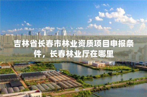 吉林省长春市林业资质项目申报条件，长春林业厅在哪里