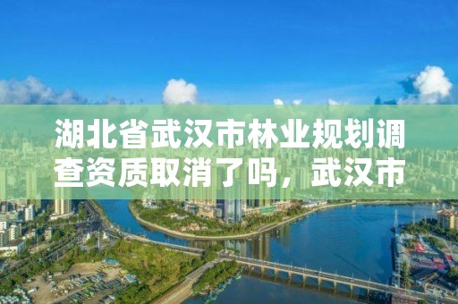 湖北省武汉市林业规划调查资质取消了吗，武汉市林业调查规划设计有限公司