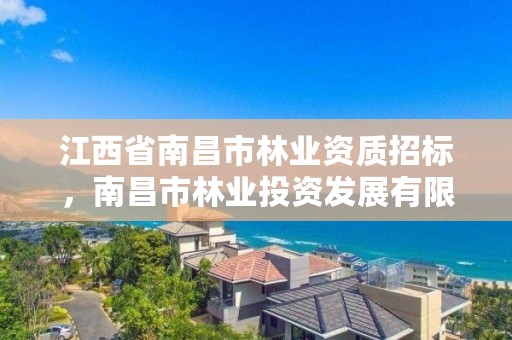 江西省南昌市林业资质招标，南昌市林业投资发展有限公司