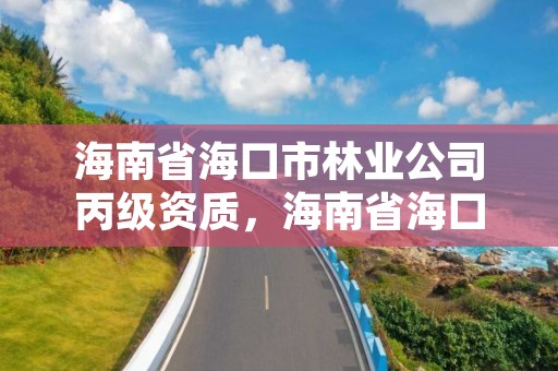 海南省海口市林业公司丙级资质，海南省海口市林业公司丙级资质有哪些