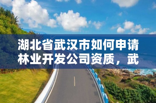 湖北省武汉市如何申请林业开发公司资质，武汉市林业集团公司官网