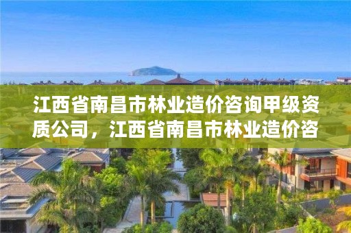 江西省南昌市林业造价咨询甲级资质公司，江西省南昌市林业造价咨询甲级资质公司有哪些