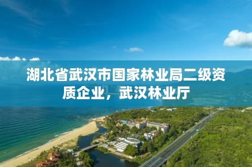 湖北省武汉市国家林业局二级资质企业，武汉林业厅