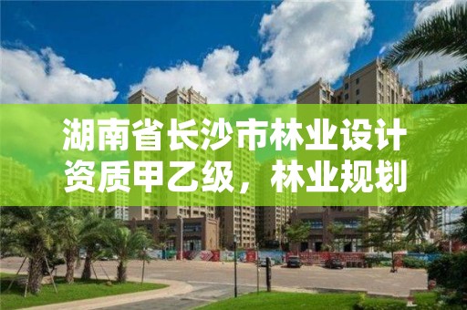 湖南省长沙市林业设计资质甲乙级，林业规划设计乙级资质