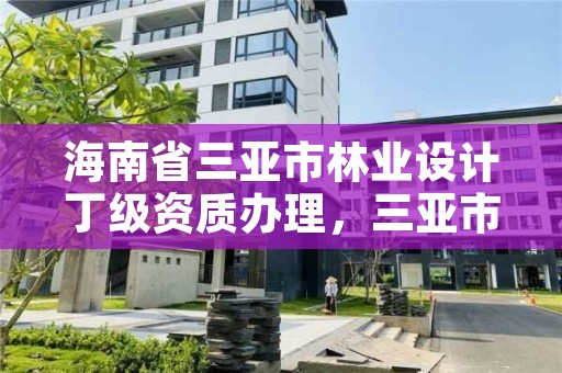 海南省三亚市林业设计丁级资质办理，三亚市林业局招标