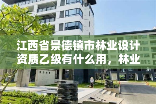 江西省景德镇市林业设计资质乙级有什么用，林业乙级资质办理条件