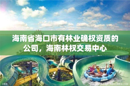 海南省海口市有林业确权资质的公司，海南林权交易中心