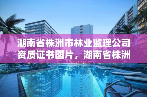 湖南省株洲市林业监理公司资质证书图片，湖南省株洲市林业局