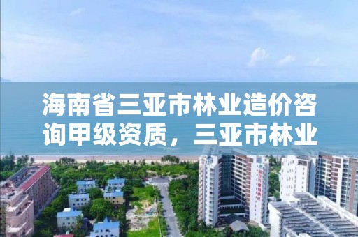 海南省三亚市林业造价咨询甲级资质，三亚市林业局公开招聘