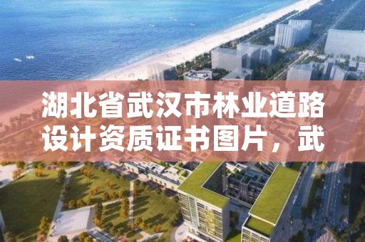 湖北省武汉市林业道路设计资质证书图片，武汉林业发展公司