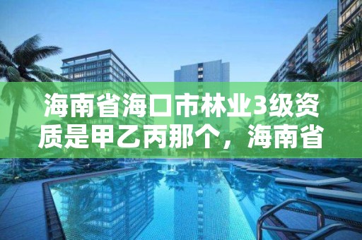 海南省海口市林业3级资质是甲乙丙那个，海南省林业总公司待遇