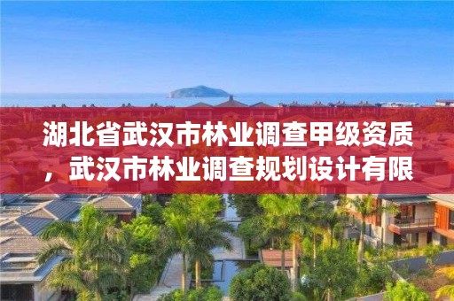 湖北省武汉市林业调查甲级资质，武汉市林业调查规划设计有限公司