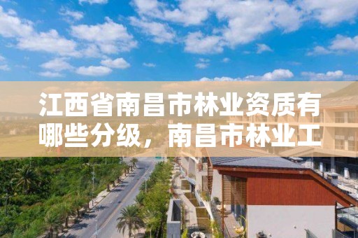 江西省南昌市林业资质有哪些分级，南昌市林业工业公司