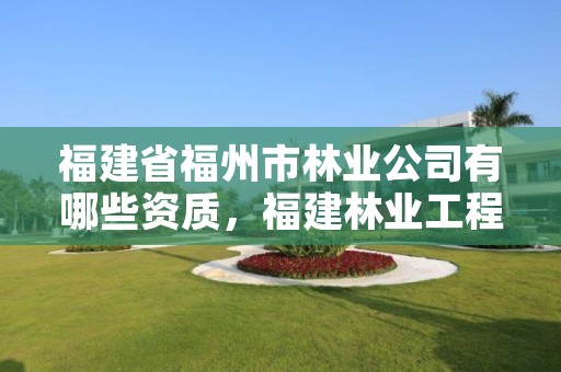 福建省福州市林业公司有哪些资质，福建林业工程有限公司