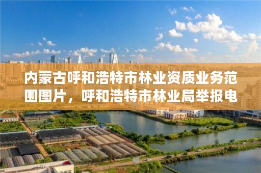 内蒙古呼和浩特市林业资质业务范围图片，呼和浩特市林业局举报电话