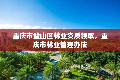 重庆市璧山区林业资质领取，重庆市林业管理办法