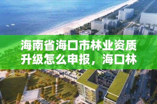 海南省海口市林业资质升级怎么申报，海口林业总公司