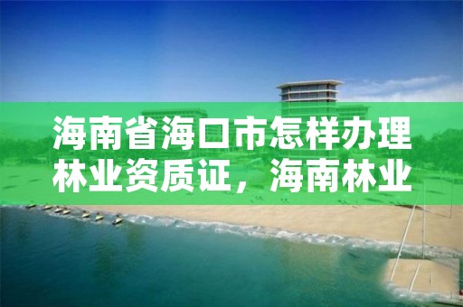 海南省海口市怎样办理林业资质证，海南林业公司