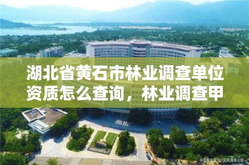 湖北省黄石市林业调查单位资质怎么查询，林业调查甲级资质