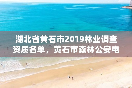 湖北省黄石市2019林业调查资质名单，黄石市森林公安电话号码是多少