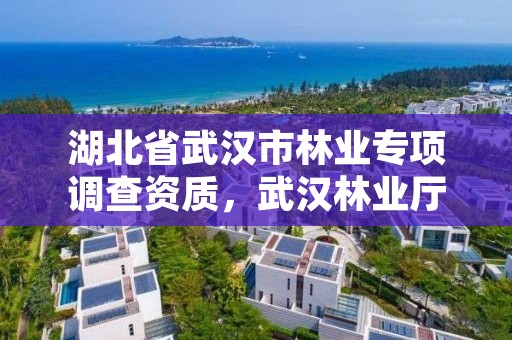 湖北省武汉市林业专项调查资质，武汉林业厅