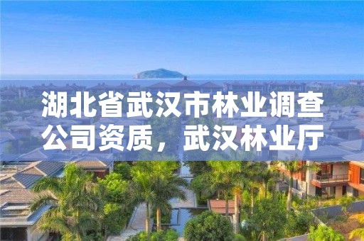 湖北省武汉市林业调查公司资质，武汉林业厅