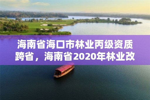 海南省海口市林业丙级资质跨省，海南省2020年林业改革发展资金用途