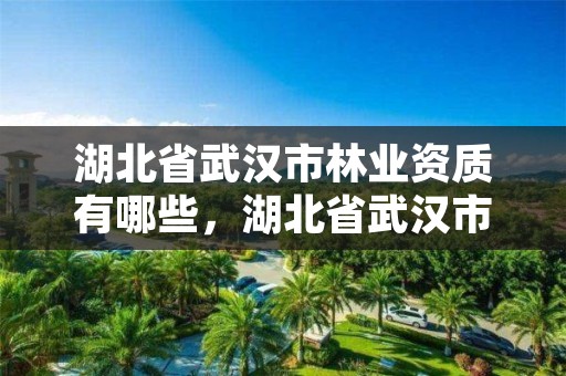 湖北省武汉市林业资质有哪些，湖北省武汉市林业资质有哪些企业