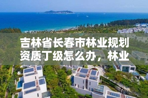 吉林省长春市林业规划资质丁级怎么办，林业丁级资质业务范围