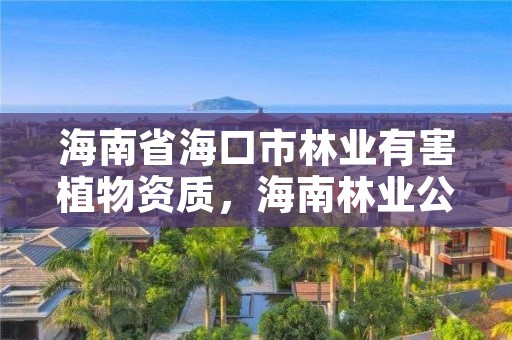 海南省海口市林业有害植物资质，海南林业公司