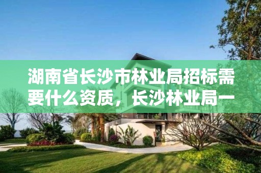 湖南省长沙市林业局招标需要什么资质，长沙林业局一个月工资多少