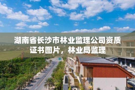 湖南省长沙市林业监理公司资质证书图片，林业局监理