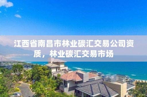 江西省南昌市林业碳汇交易公司资质，林业碳汇交易市场