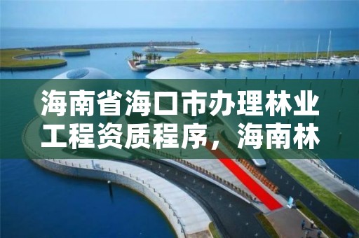 海南省海口市办理林业工程资质程序，海南林业公司