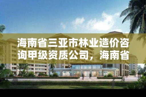 海南省三亚市林业造价咨询甲级资质公司，海南省三亚市林业造价咨询甲级资质公司有几家