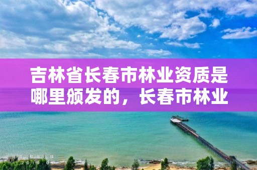 吉林省长春市林业资质是哪里颁发的，长春市林业设计院