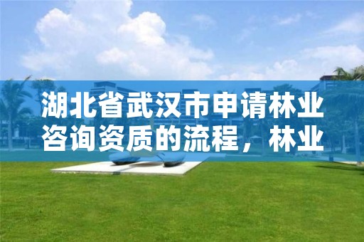 湖北省武汉市申请林业咨询资质的流程，林业资质如何申请办理