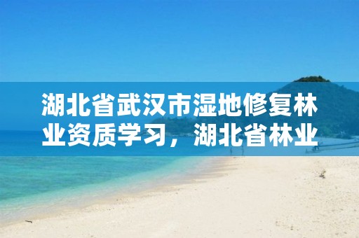 湖北省武汉市湿地修复林业资质学习，湖北省林业局湿地保护中心