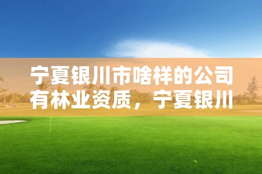 宁夏银川市啥样的公司有林业资质，宁夏银川市啥样的公司有林业资质证