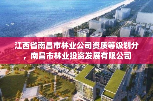 江西省南昌市林业公司资质等级划分，南昌市林业投资发展有限公司